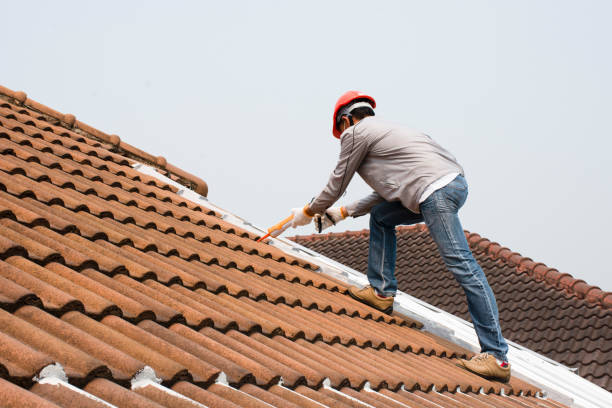 Best Solar Panel Roofing Installation  in Cape Carteret, NC